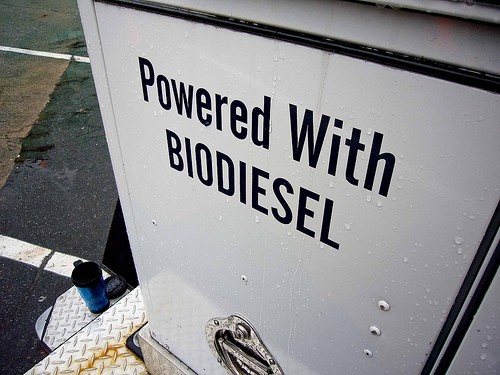 Biodiesel Statistics