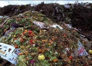 Biofuel from plant and food waste