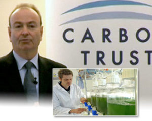 carbon trust