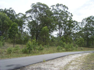 Road side biofuel plants