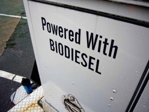 biodiesel pump