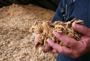 Biofuel Company Close To $1 Billion Fed Loan
