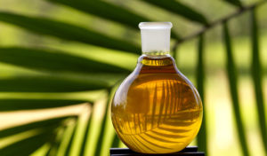 Palm oil prices following crude oil's upward trend