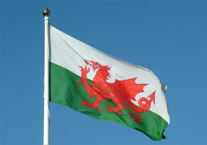 Welsh Flag