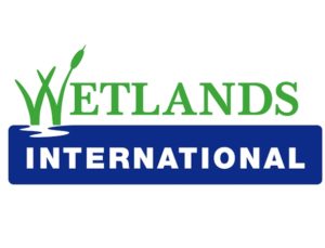 wetlands