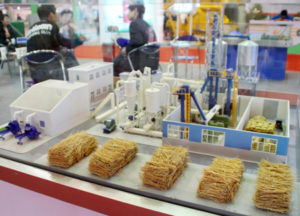biofuel model china